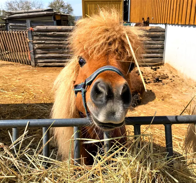 Foto: Heide Böllinger aus Bad Friedrichshall