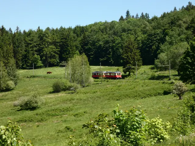 Dort kommt sie endlich.   | Foto: sigischlottke