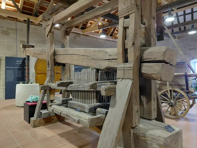 Baumkelter 250 Jahre alt | Foto: Ursula Hamann