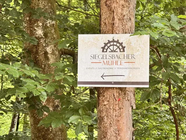 Foto: Heide Böllinger aus Bad Friedrichshall