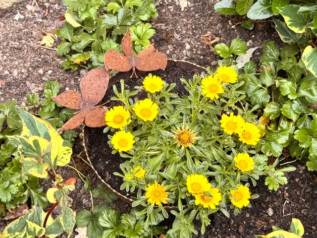 Foto: Heide Böllinger aus Bad Friedrichshall