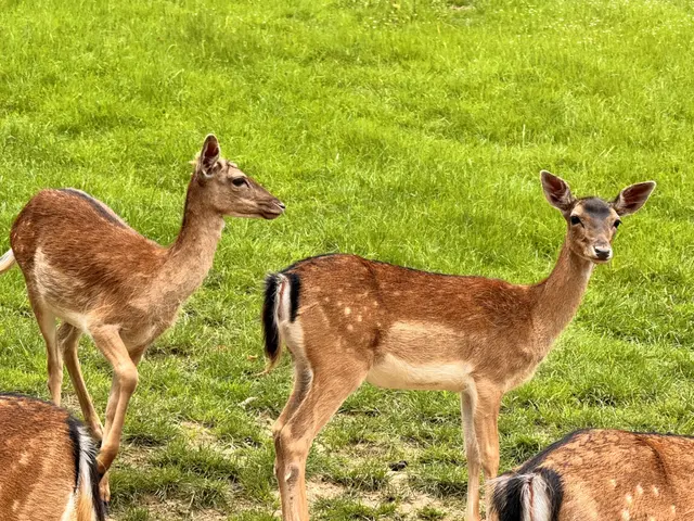 Foto: Heide Böllinger aus Bad Friedrichshall