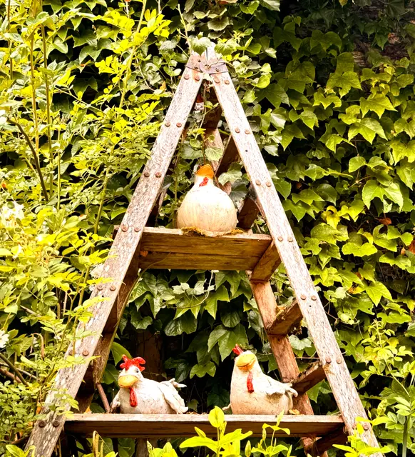 Foto: Heide Böllinger aus Bad Friedrichshall