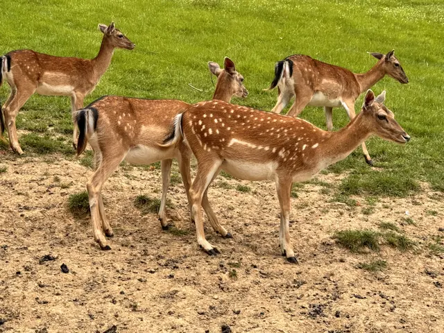 Foto: Heide Böllinger aus Bad Friedrichshall