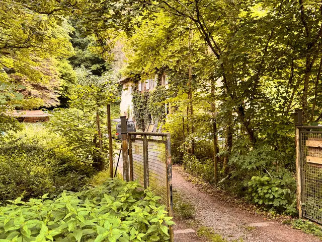 Foto: Heide Böllinger aus Bad Friedrichshall