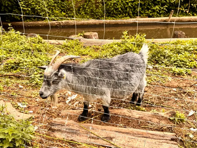 Foto: Heide Böllinger aus Bad Friedrichshall