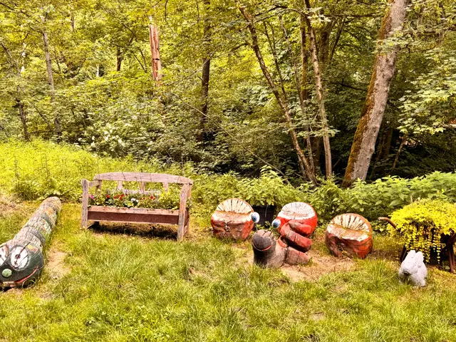 Foto: Heide Böllinger aus Bad Friedrichshall