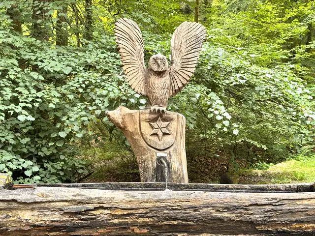 Foto: Heide Böllinger aus Bad Friedrichshall
