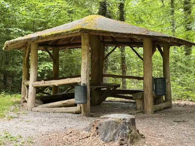 Foto: Heide Böllinger aus Bad Friedrichshall