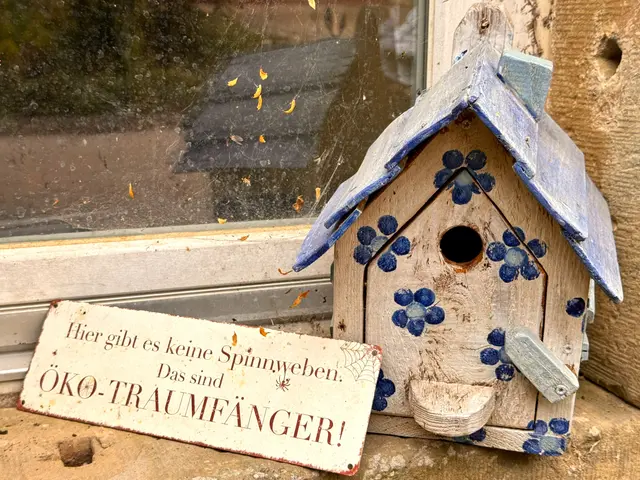 Foto: Heide Böllinger aus Bad Friedrichshall