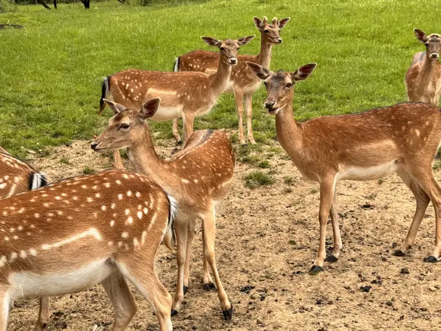 Foto: Heide Böllinger aus Bad Friedrichshall