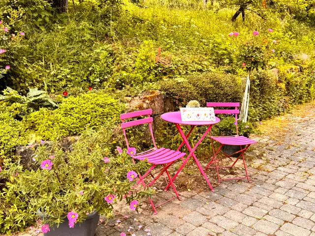 Foto: Heide Böllinger aus Bad Friedrichshall
