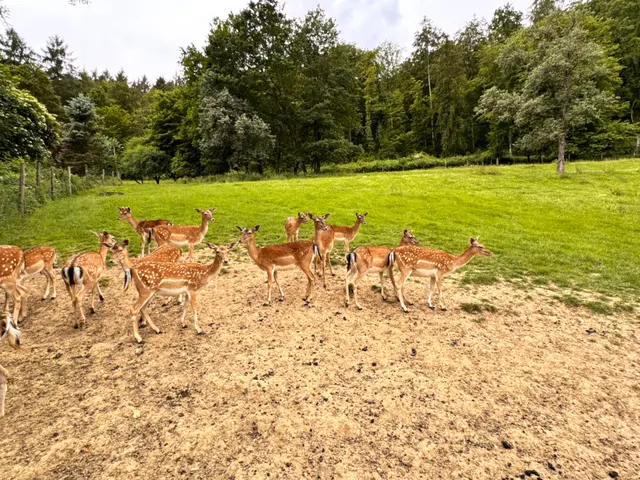 Foto: Heide Böllinger aus Bad Friedrichshall