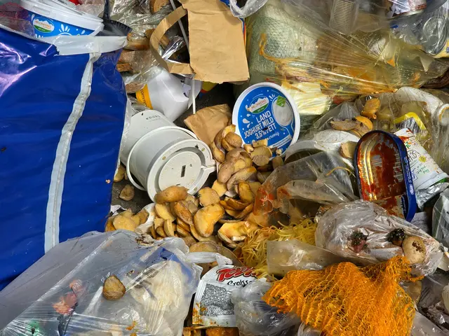 Küchenabfälle und unsaubere Fischdose | Foto: Heidrun Rosenberger