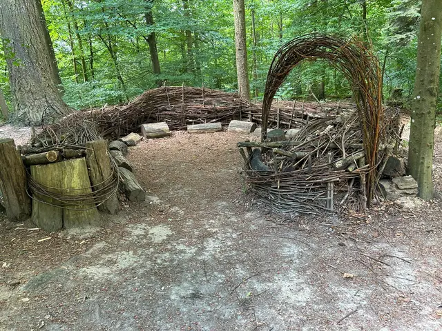 Adlerhorst am Waldfreundeweg | Foto: Marion Hendel