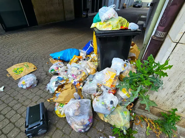 Eine wilde Müllkippe | Foto: Heidrun Rosenberger