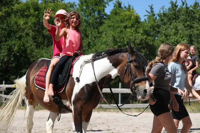 Foto: Jugendfarm Neckarsulm