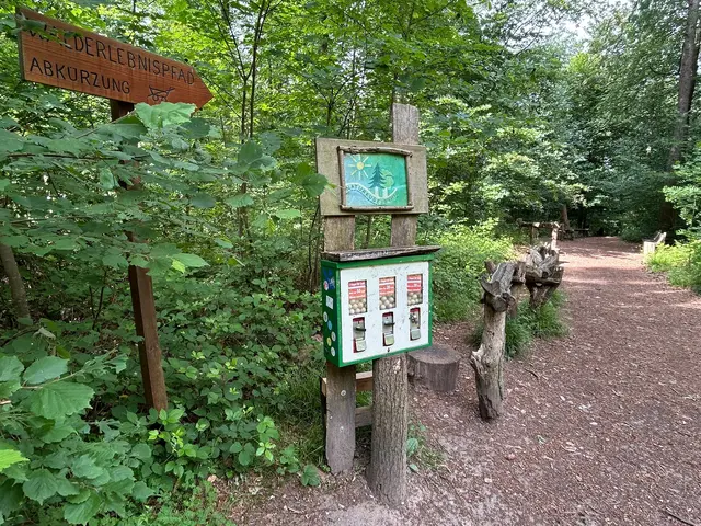 Ein Kindervergnügen im Stadtwald die Röllchenbahn der Waldfreunde | Foto: Marion Hendel