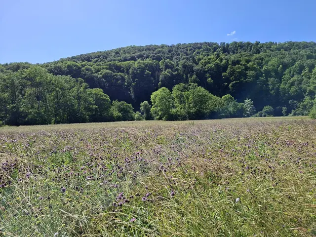 #Spaziergang