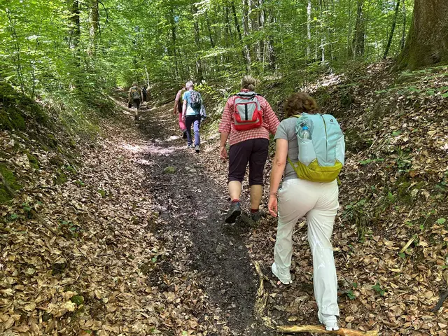 und immer wieder auf schmalen Pfaden bergauf | Foto: Albverein Weinsberg