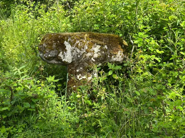 versteckt und verwittert steht das Sühnekreuz am Wegesrand | Foto: Albverein Weinsberg