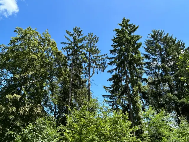 So sieht ein Wanderhimmel aus | Foto: Albverein Weinsberg