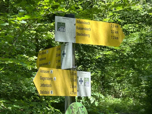 Viele Wege führen nach Rom, oder hier zum Annasee | Foto: Albverein Weinsberg