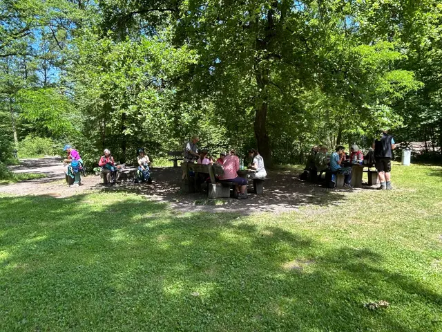 Im Schatten der großen Bäume am Annasee | Foto: Albverein Weinsberg