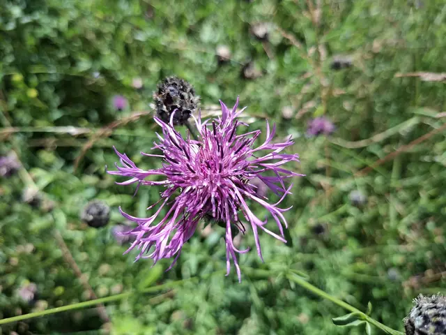 #Spaziergang