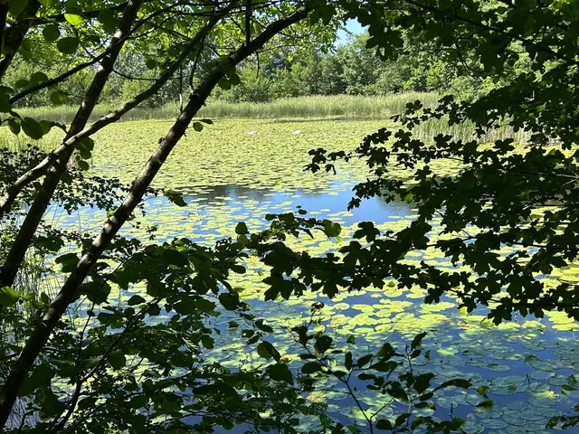Bleichsee bei Löwenstein | Foto: Albverein Weinsberg