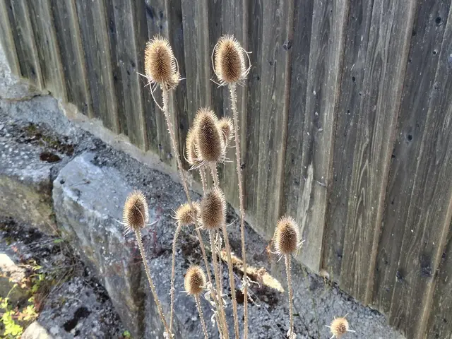 #Spaziergang