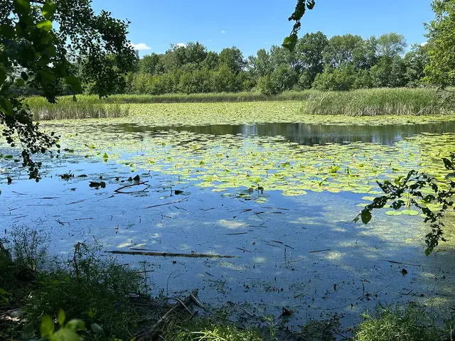 Der See lädt zum Verweilen ein | Foto: Albverein Weinsberg