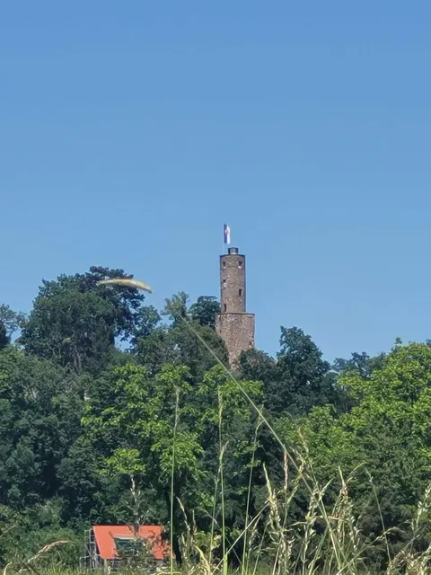 Die Burg Löwenstein vom Bleichsee aus | Foto: Albverein Weinsberg