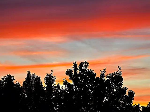 Foto: Heidrun Rosenberger