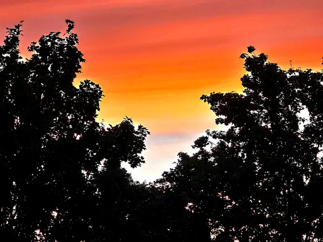Foto: Heidrun Rosenberger