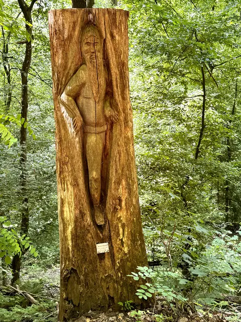 Foto: Helmut Böllinger aus Bad Friedrichshall