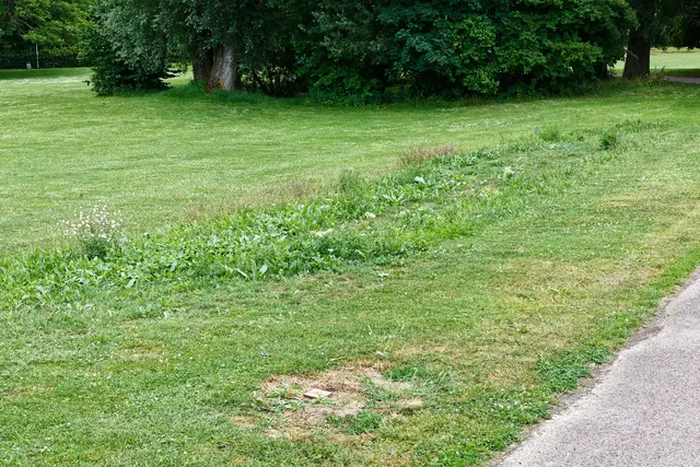 nördlicher Streifen, das kleine Quadrat im Vordergrund war mal die Stele | Foto: WKY