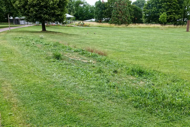nördlicher Streifen
 | Foto: WKY