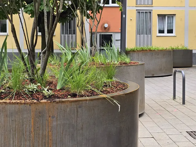 Foto: Heidrun Rosenberger