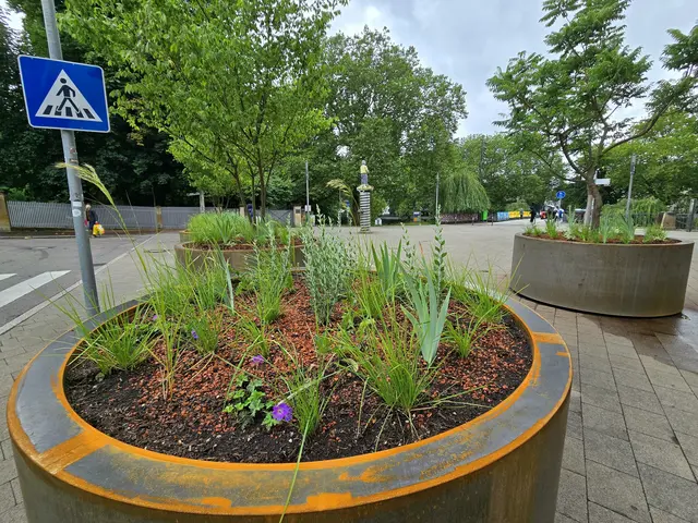 Foto: Heidrun Rosenberger