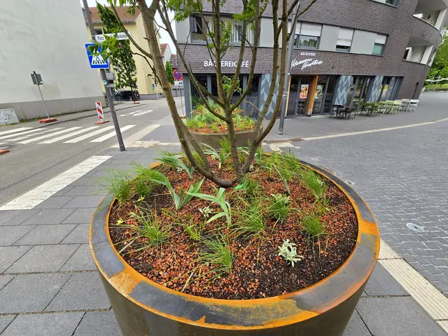 Foto: Heidrun Rosenberger