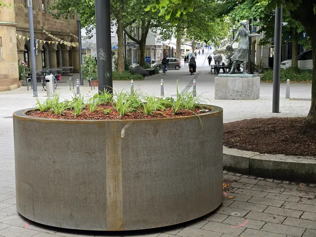 Foto: Heidrun Rosenberger