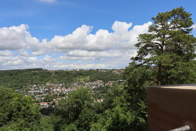 Blick vom Wartbergturm auf Südhang und Garnberg | Foto: Marga Specht