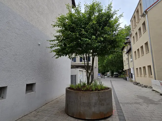 Foto: Heidrun Rosenberger