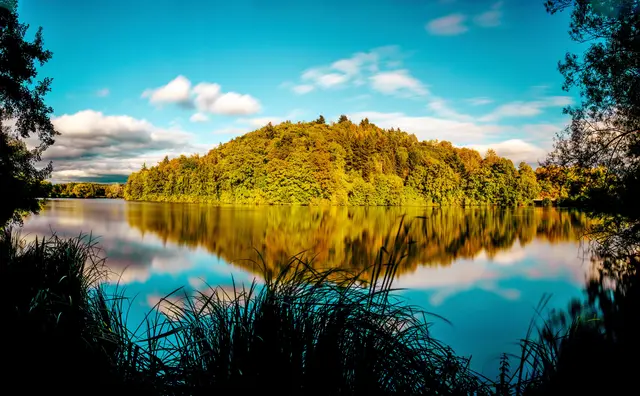 Foto: Sven Liebau