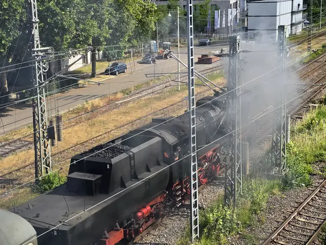 Die erste Fahrt nach Heidelberg. | Foto: Heidrun Rosenberger