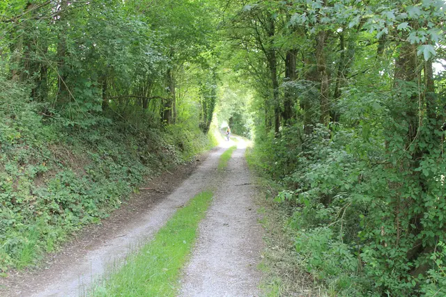 von Geislingen am Kocher nach Cröffelbach im schönen Bühlertal