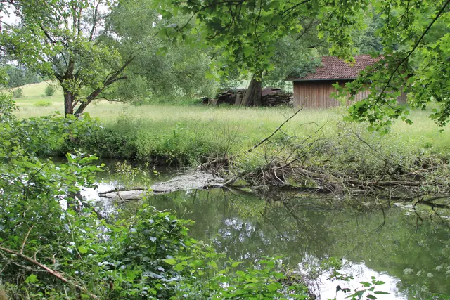 von Geislingen am Kocher nach Cröffelbach im schönen Bühlertal