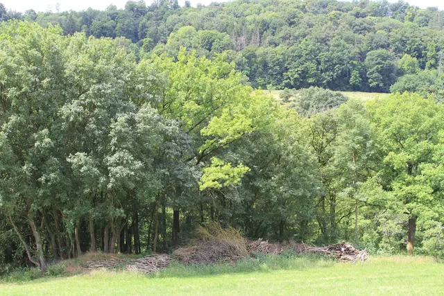 von Geislingen am Kocher nach Cröffelbach im schönen Bühlertal