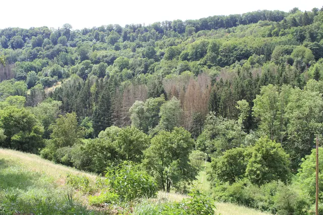 von Geislingen am Kocher nach Cröffelbach im schönen Bühlertal